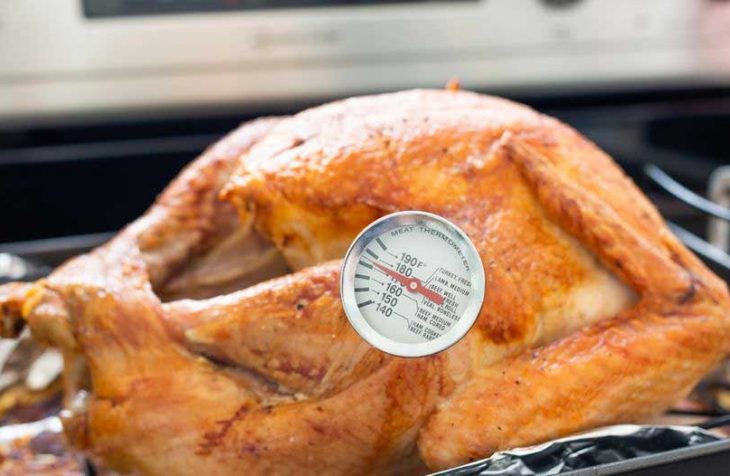 Where to insert a meat thermometer in a turkey