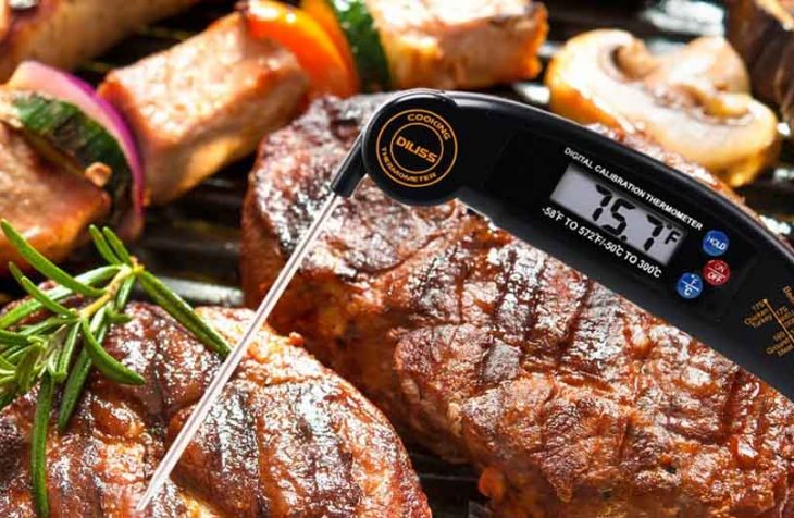 how to calibrate a digital food thermometer