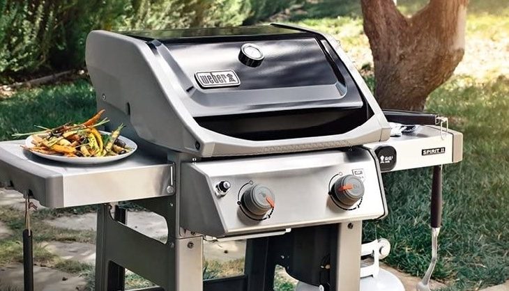 Best 2 Burner Gas Grill