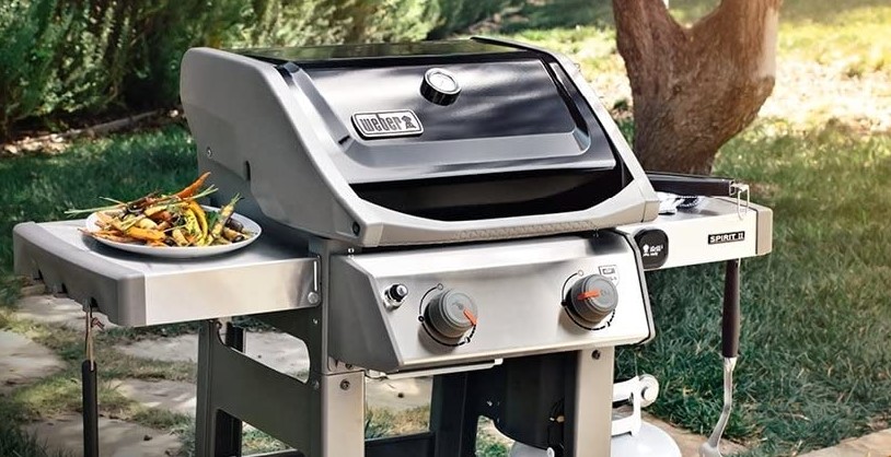 Best 2 Burner Gas Grill